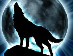 Avatar von Wolfsblut