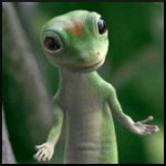 Avatar von Geckolord