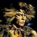 Avatar von Rum-Tum-Tugger