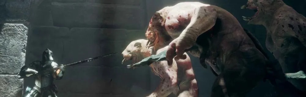 102444794652a1c8208bb168-04803273