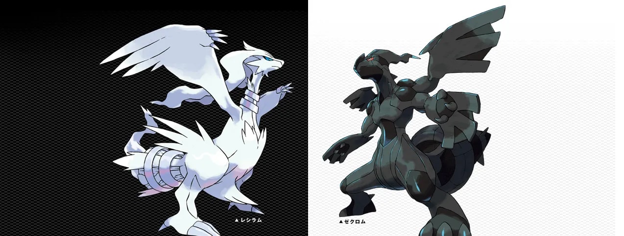 108594390587688d37fffc4-78736647