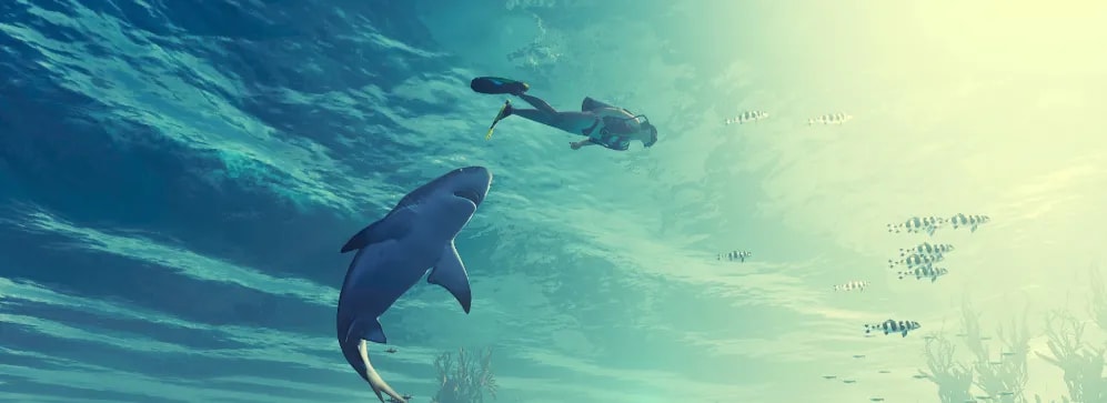 11364808745df369ce6a9f58-41635568