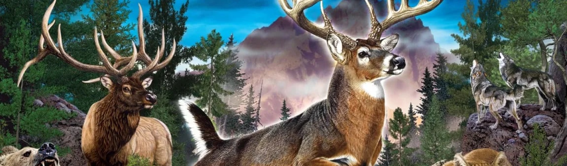 16629485625c3753a3735b43-62350330