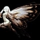 Image 135590