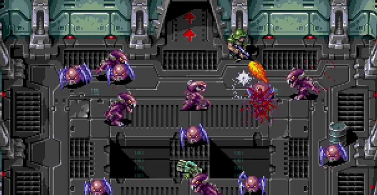 18428758335a57340b405f10-94850480