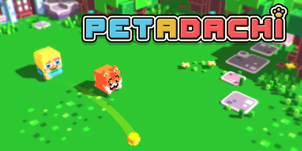 18555878145f6900e2b705d8-04798270