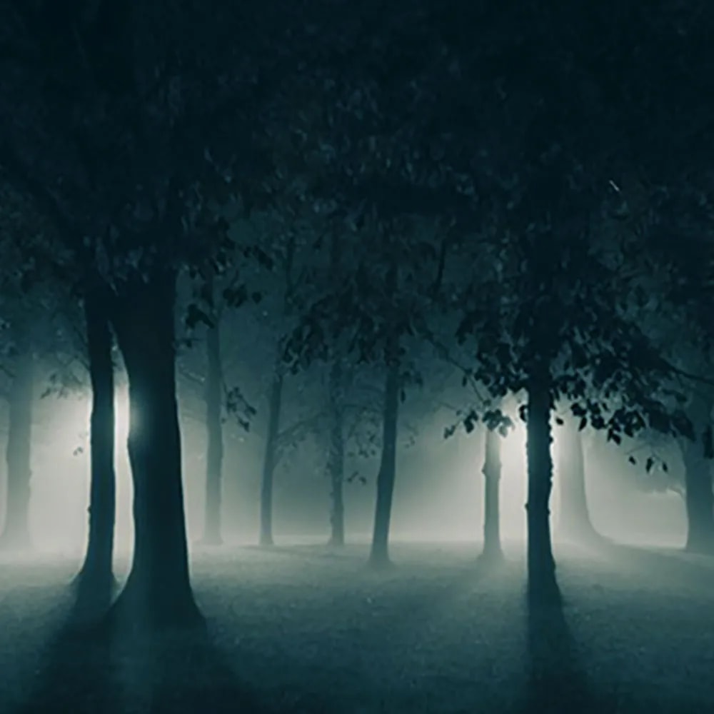 20313579115b63f63b7343d4-08321167