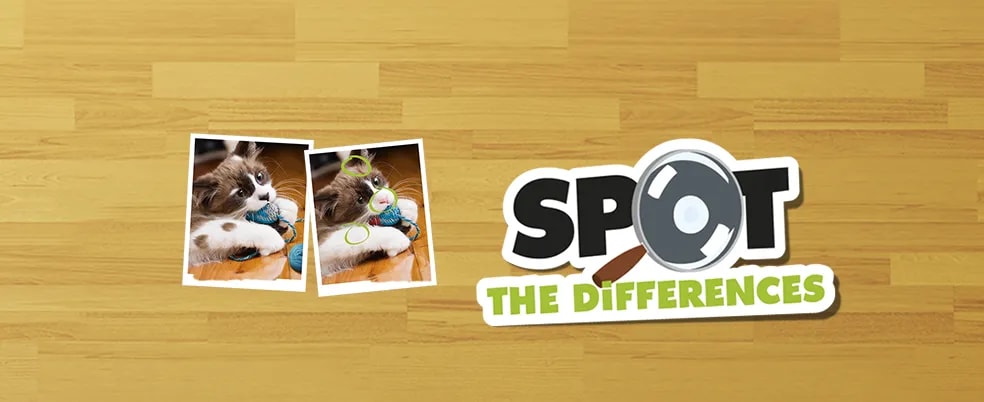 426007109532594eef24e17-78854302