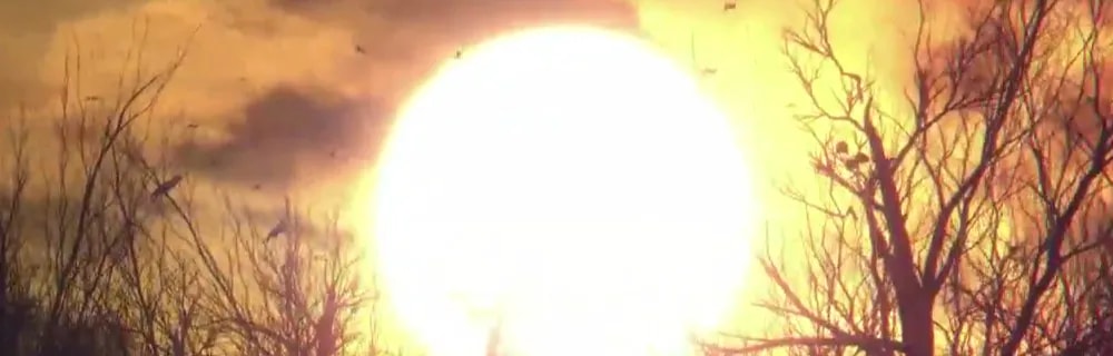 698691460575f6c8d5f6335-68138949