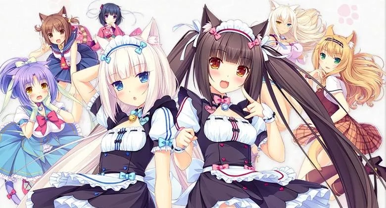 7042982635b3be7715378d2-71545429