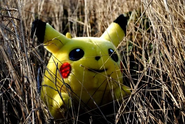 Image 84074