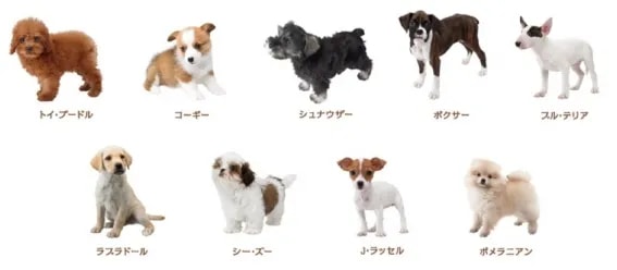 Image 25347