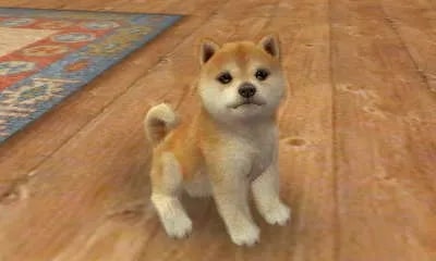 Image 26550