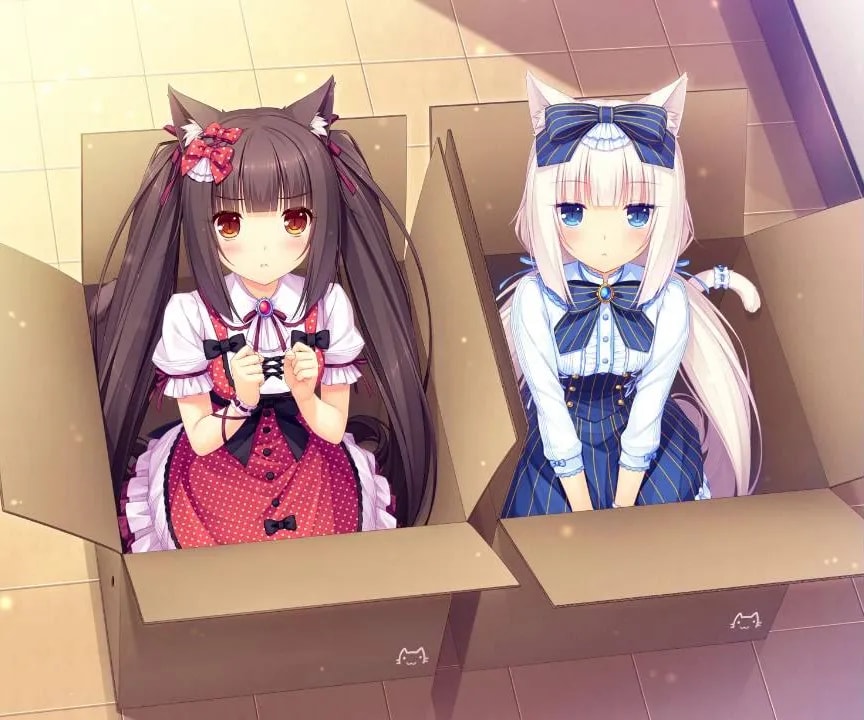 Image 106499