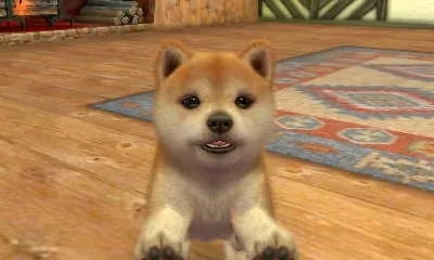 Image 26731