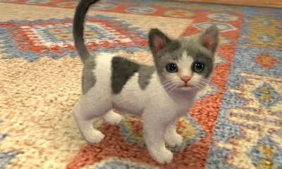 Image 26739