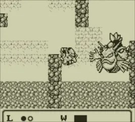 Image 30221