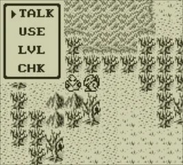 Image 30222