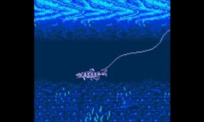 Image 42486