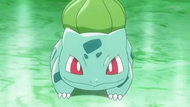 Image 101369