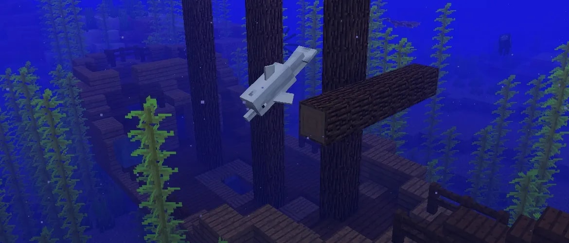 Image 103985