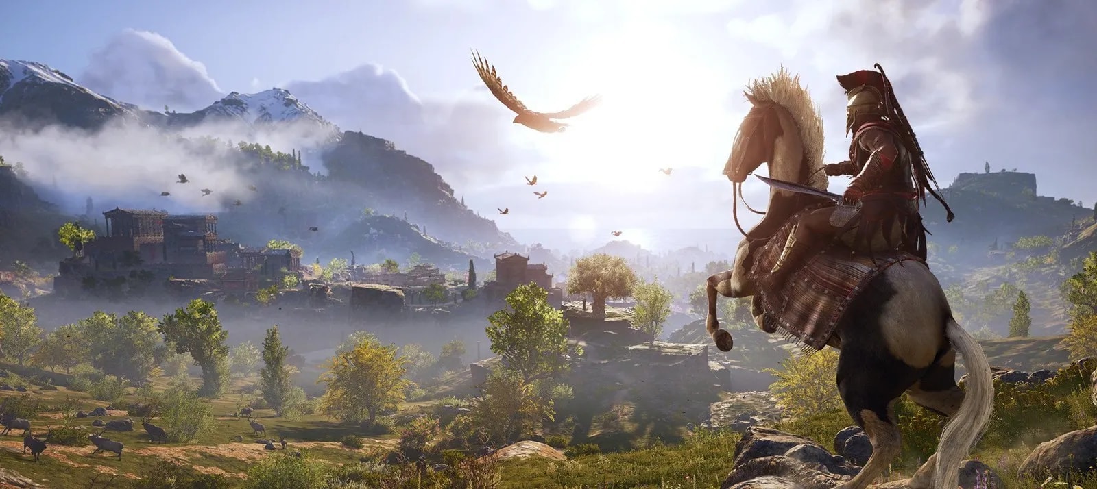 11801993005c046117d60933-57716550