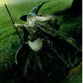 Avatar von Gandalf