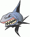 Avatar von Shark76