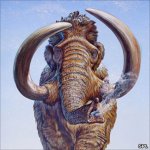 Avatar von Wooly Mammoth